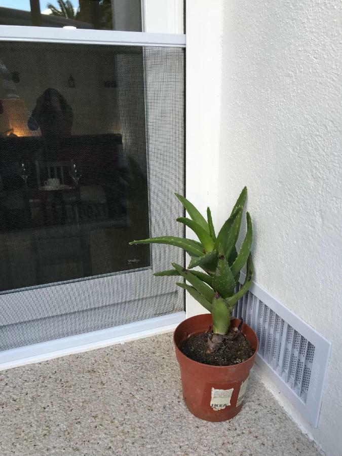 CacesLoft Arco Del Cristo.公寓 外观 照片